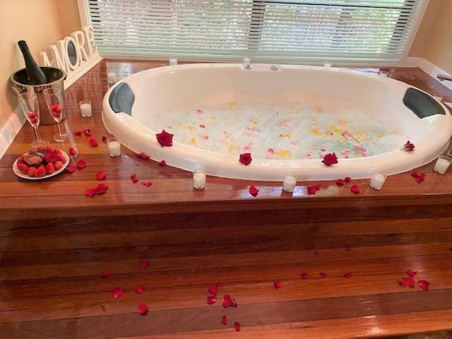 Amore On Buderim Rainforest Cabins Sunshine Coast Ngoại thất bức ảnh