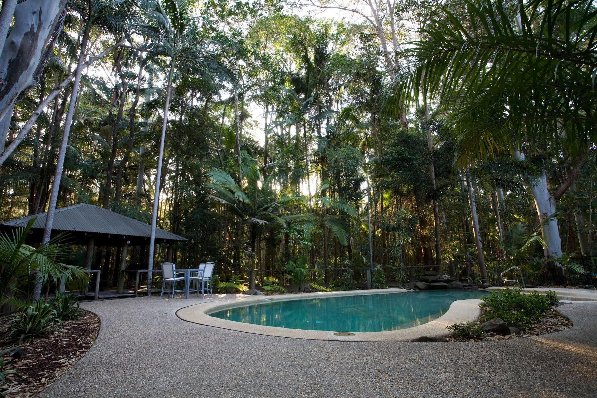Amore On Buderim Rainforest Cabins Sunshine Coast Ngoại thất bức ảnh